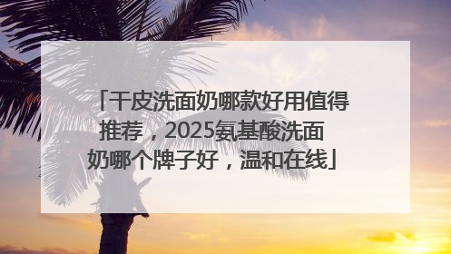 干皮洗面奶哪款好用值得推荐，2025氨基酸洗面奶哪个牌子好，温和在线