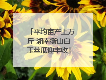平均亩产上万斤 湖南衡山白玉丝瓜迎丰收