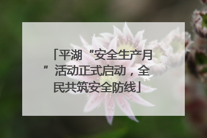 平湖“安全生产月”活动正式启动，全民共筑安全防线