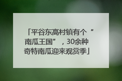 平谷东高村镇有个“南瓜王国”，30余种奇特南瓜迎来观赏季