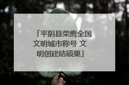 平阴县荣膺全国文明城市称号 文明创建结硕果