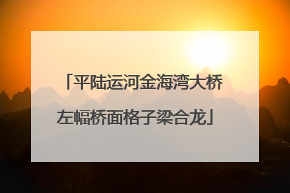 平陆运河金海湾大桥左幅桥面格子梁合龙