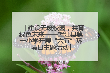 建设无废校园，共育绿色未来——望江县第一小学开展“六五”环境日主题活动