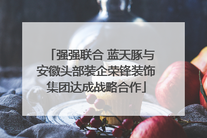 强强联合 蓝天豚与安徽头部装企荣锋装饰集团达成战略合作