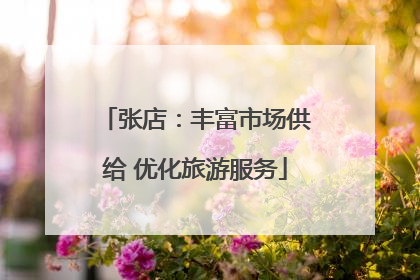 张店：丰富市场供给 优化旅游服务