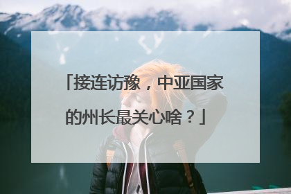接连访豫，中亚国家的州长最关心啥？