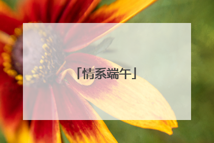 情系端午