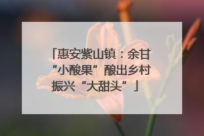 惠安紫山镇：余甘“小酸果”酿出乡村振兴“大甜头”