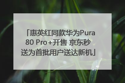 惠英红同款华为Pura 80 Pro+开售 京东秒送为首批用户送达新机