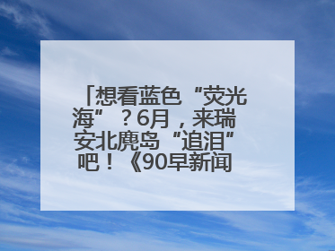 想看蓝色“荧光海”？6月，来瑞安北麂岛“追泪”吧！《90早新闻》来了