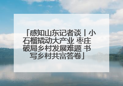 感知山东记者谈丨小石榴撬动大产业 枣庄破局乡村发展难题 书写乡村共富答卷