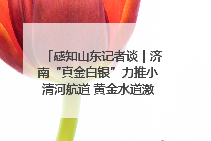 感知山东记者谈｜济南“真金白银”力推小清河航道 黄金水道激活区域经济新动能