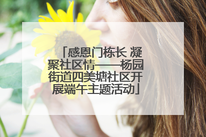 感恩门栋长 凝聚社区情——杨园街道四美塘社区开展端午主题活动