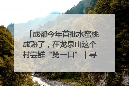 成都今年首批水蜜桃成熟了，在龙泉山这个村尝鲜“第一口”｜寻找和美乡村推荐官