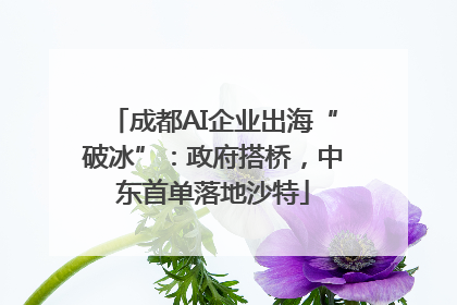 成都AI企业出海“破冰”：政府搭桥，中东首单落地沙特