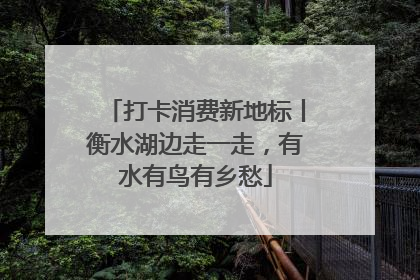 打卡消费新地标丨衡水湖边走一走，有水有鸟有乡愁