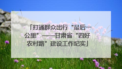 打通群众出行“最后一公里”——甘肃省“四好农村路”建设工作纪实