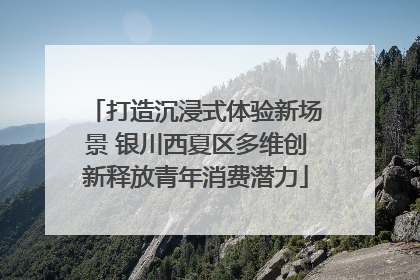 打造沉浸式体验新场景 银川西夏区多维创新释放青年消费潜力