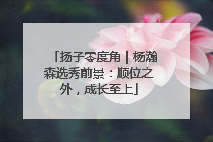 扬子零度角｜杨瀚森选秀前景：顺位之外，成长至上