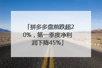 拼多多盘前跌超20%，第一季度净利润下降45%