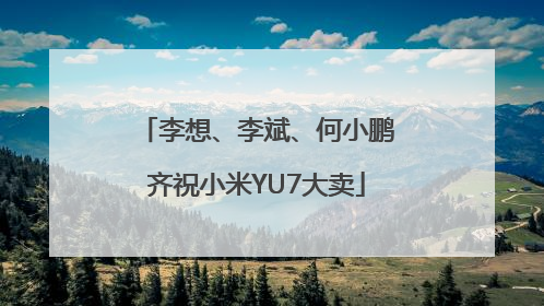 李想、李斌、何小鹏齐祝小米YU7大卖