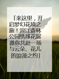 来这里，开启梦幻花境之旅！滨江森林公园绣球花展邀你共赴一场与云朵、花儿的浪漫之约