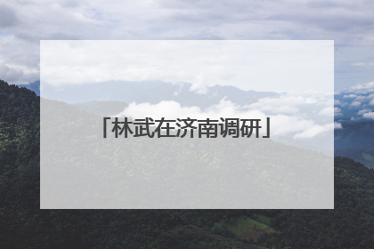 林武在济南调研