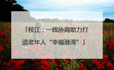 枝江：一线协商助力打造老年人“幸福港湾”