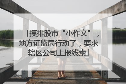 摸排股市“小作文”，地方证监局行动了，要求辖区公司上报线索