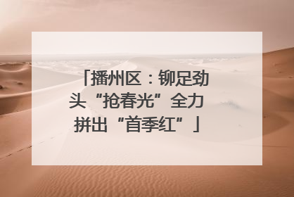 播州区：铆足劲头“抢春光”全力拼出“首季红”