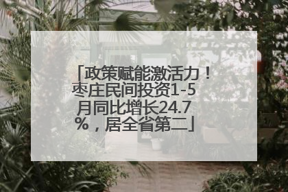 政策赋能激活力！枣庄民间投资1-5月同比增长24.7%，居全省第二
