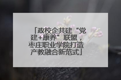 政校企共建“党建+康养”联盟，枣庄职业学院打造产教融合新范式