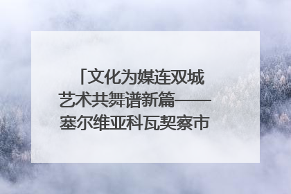 文化为媒连双城 艺术共舞谱新篇——塞尔维亚科瓦契察市代表团访问日照