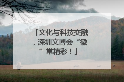 文化与科技交融，深圳文博会“徽”常精彩！