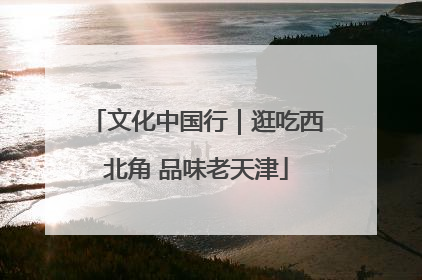 文化中国行｜逛吃西北角 品味老天津