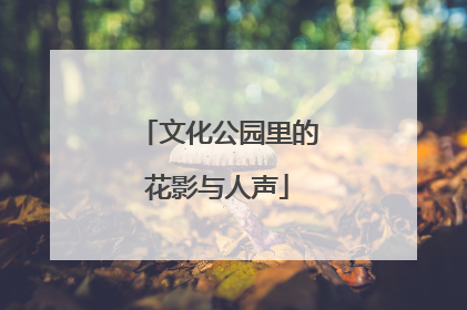 文化公园里的花影与人声