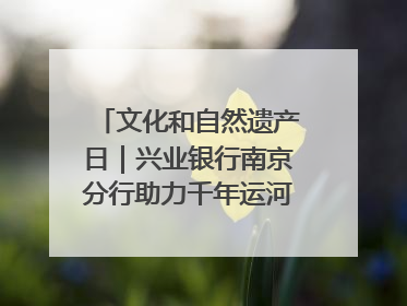 文化和自然遗产日｜兴业银行南京分行助力千年运河焕新出彩