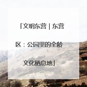 文明东营｜东营区：公园里的全龄文化栖息地