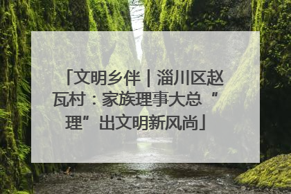文明乡伴｜淄川区赵瓦村：家族理事大总“理”出文明新风尚