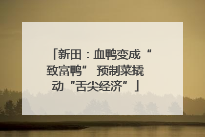 新田：血鸭变成“致富鸭” 预制菜撬动“舌尖经济”