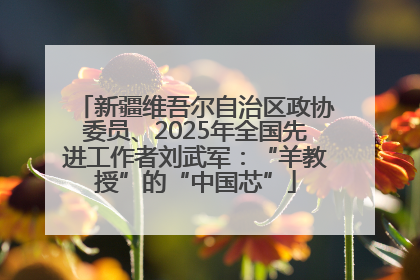 新疆维吾尔自治区政协委员、2025年全国先进工作者刘武军：“羊教授”的“中国芯”
