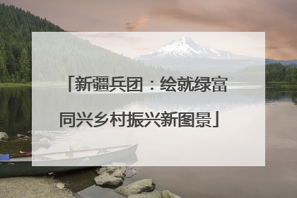 新疆兵团：绘就绿富同兴乡村振兴新图景