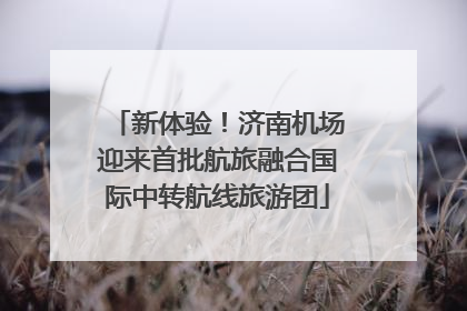 新体验！济南机场迎来首批航旅融合国际中转航线旅游团
