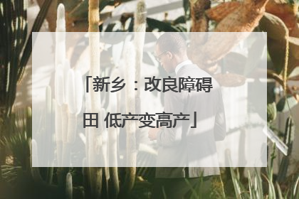 新乡：改良障碍田 低产变高产