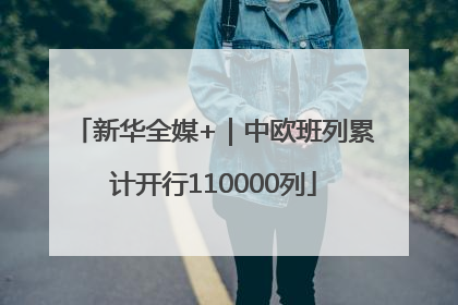 新华全媒+｜中欧班列累计开行110000列