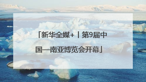新华全媒+丨第9届中国—南亚博览会开幕