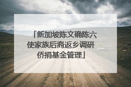 新加坡陈文确陈六使家族后裔返乡调研侨捐基金管理