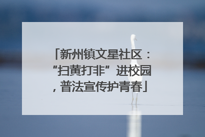新州镇文星社区：“扫黄打非”进校园，普法宣传护青春