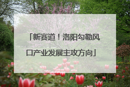 新赛道！洛阳勾勒风口产业发展主攻方向