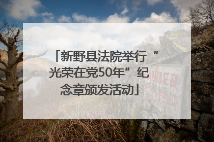 新野县法院举行“光荣在党50年”纪念章颁发活动